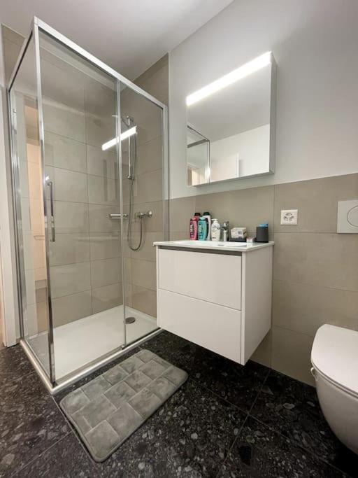 Five Stars Comfort Apartment Lugano Near The Lake Kültér fotó