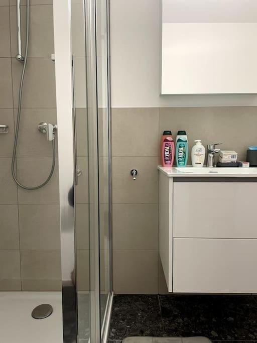 Five Stars Comfort Apartment Lugano Near The Lake Kültér fotó