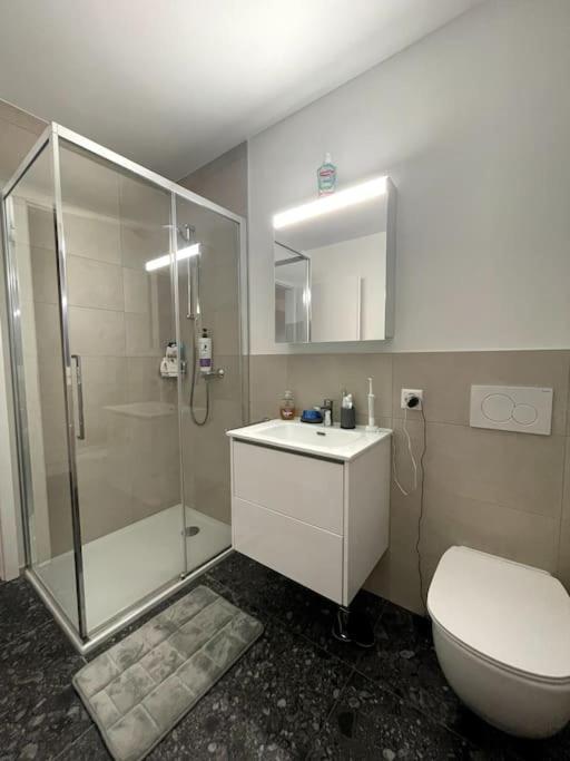 Five Stars Comfort Apartment Lugano Near The Lake Kültér fotó